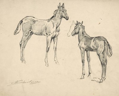 Study of Two Colts by Walter Shirlaw